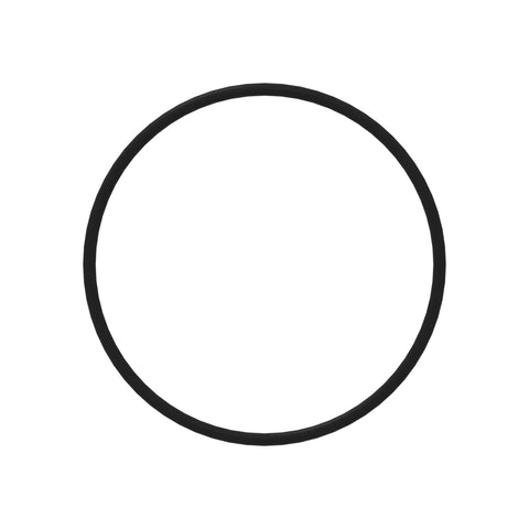 12430340 O-ring