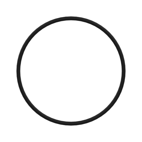 12430340 O-ring