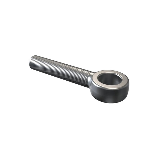 A21531 Oogbout