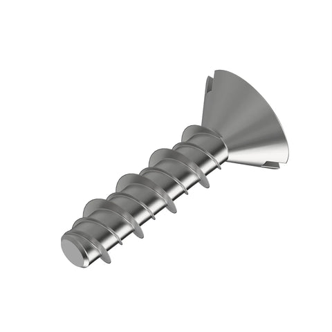 A33969 Schroef