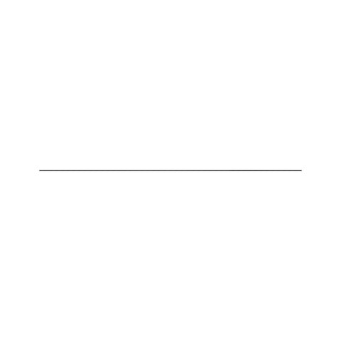 A49585 Slang