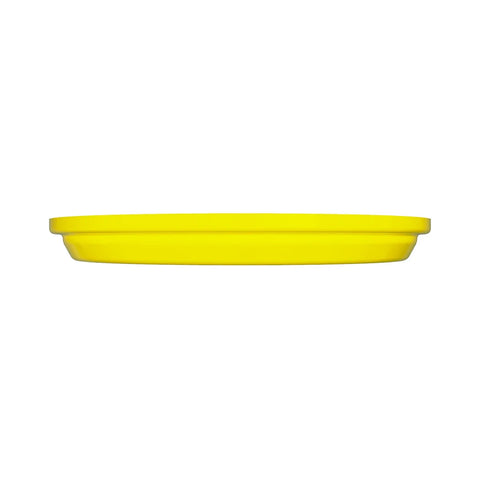 A49917 Wiel