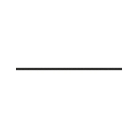A64204 Slang