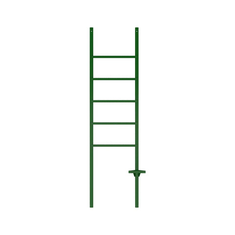 AA111351 Ladder