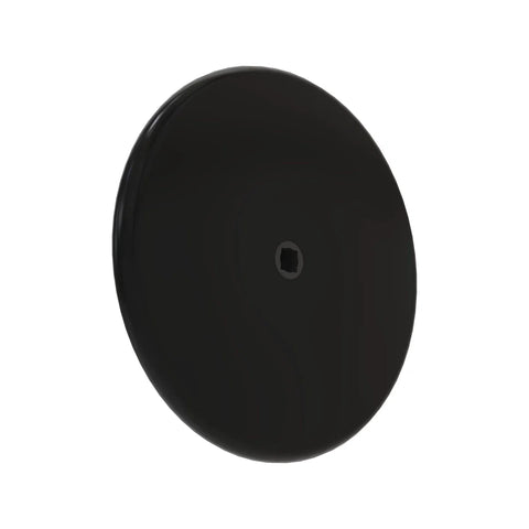 AA44146 Wiel