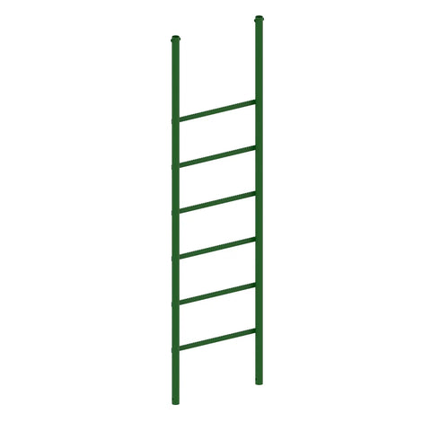AA50079 Ladder