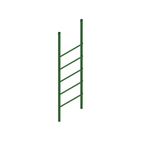 AA50081 Ladder