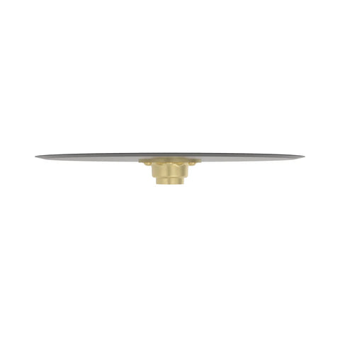 AA65219 Schijf