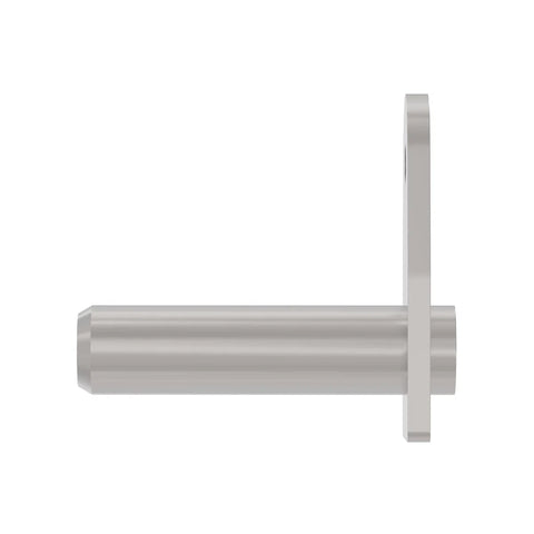 AA66739 Pen