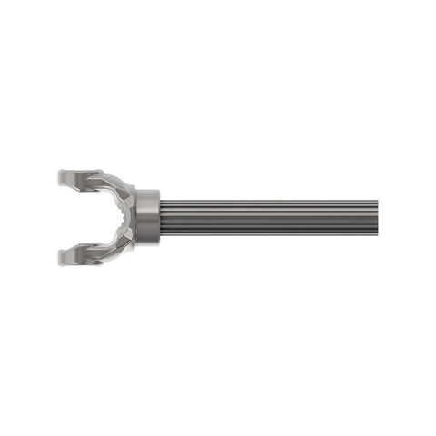 AE55401 Gaffelkop