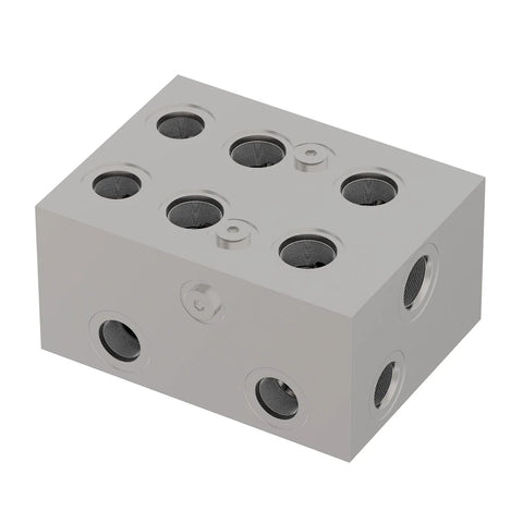 AFH214705 Ventielblok
