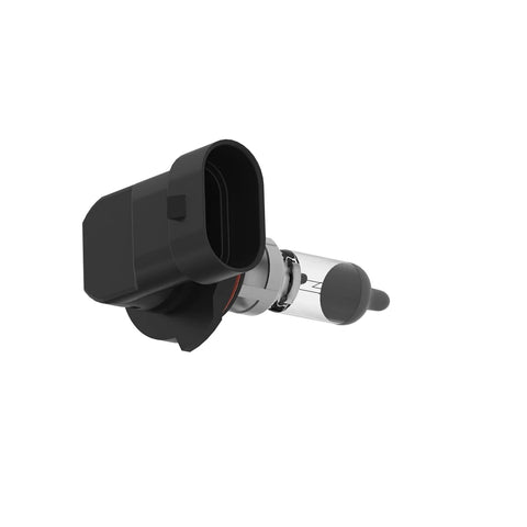 AH162231 Gloeilamp