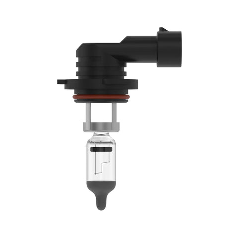 AH162231 Gloeilamp
