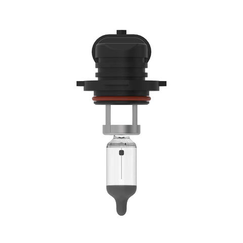 AH162231 Gloeilamp