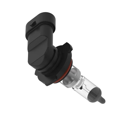 AH162231 Gloeilamp