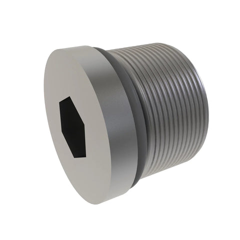 AH165879 Plug