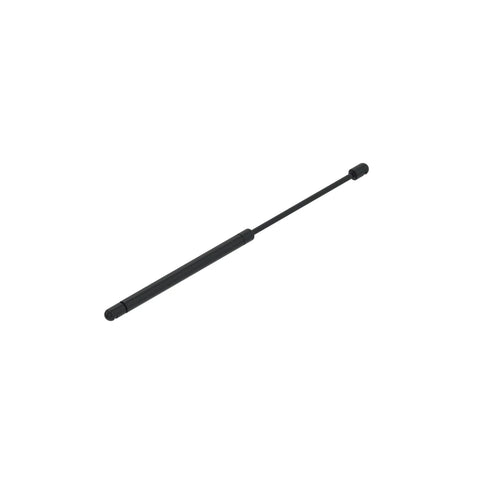 AH216737 Gasveer