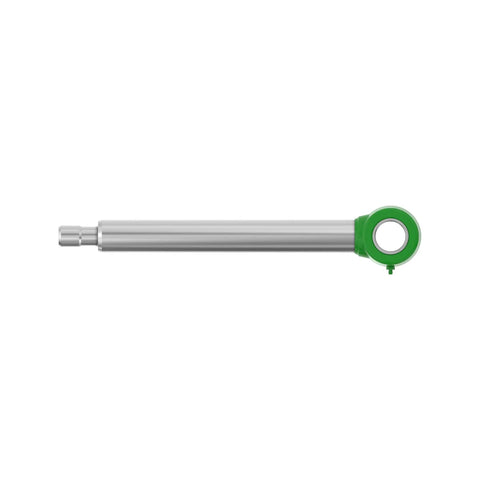 AH219254 Stang