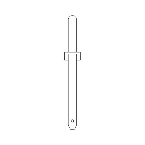 AH219793 Pen