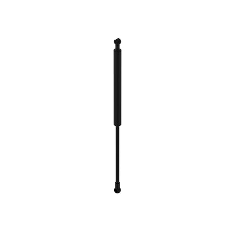 AH232248 Gasveer
