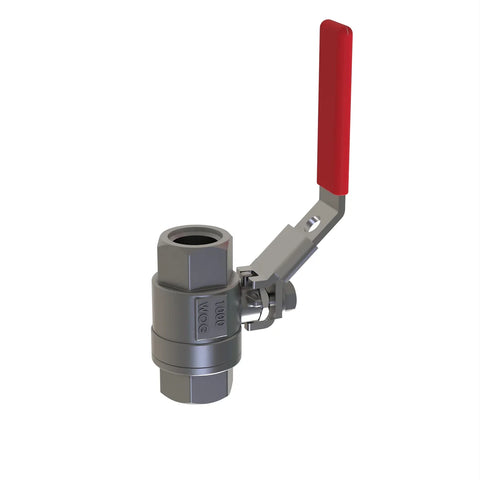 AKK11734 Manuele klep