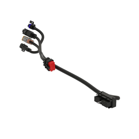 AKK33331 Kabelboom