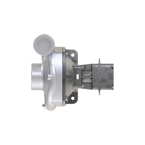 AKK36895 Pomp