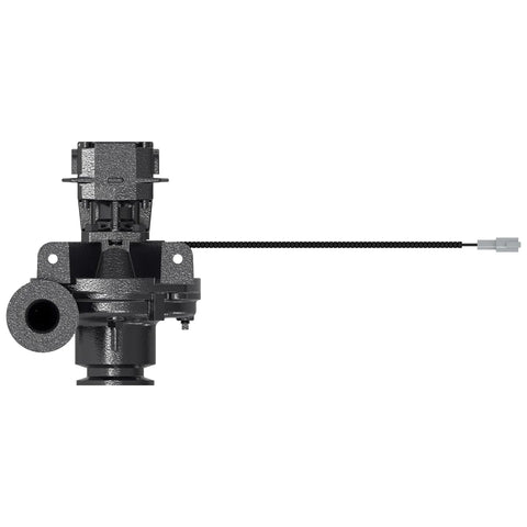 AKK36898 Pomp