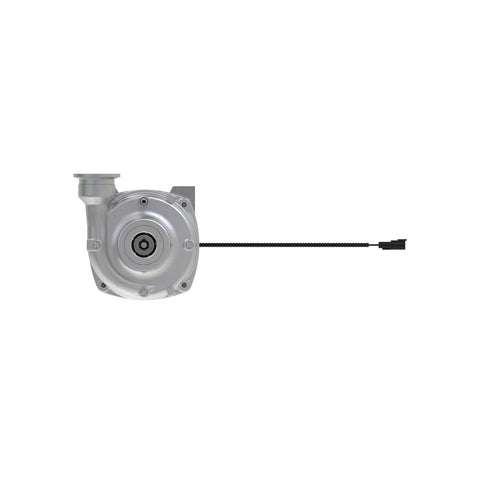 AKK36899 Pomp