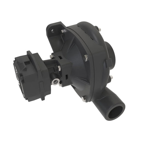 AKK36902 Pomp