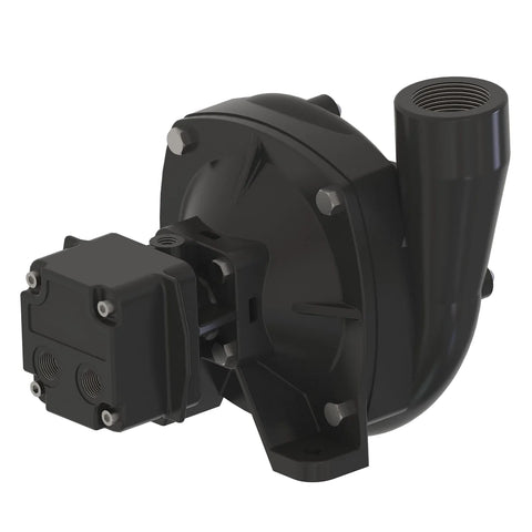 AKK36904 Pomp