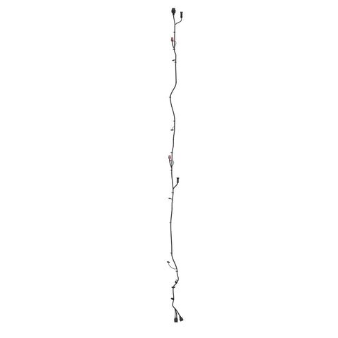 AKK46686 Kabelboom