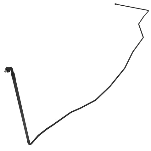 AKK52449 Slang
