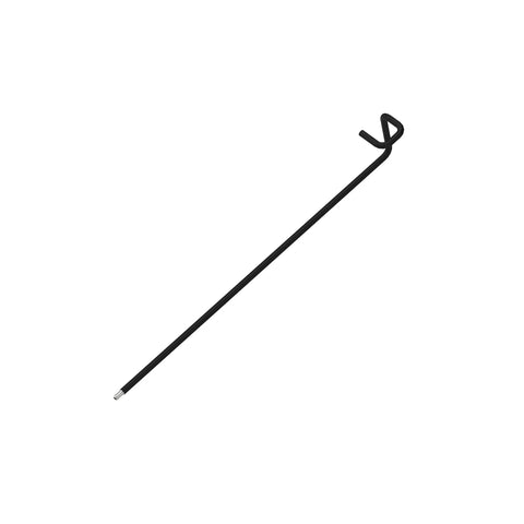 AL116188 Slang