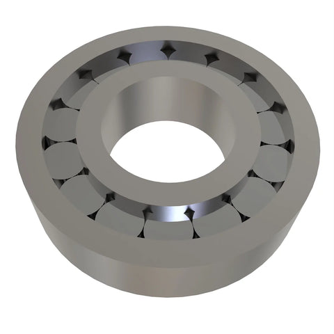 AL117619 Cilindrisch rollager