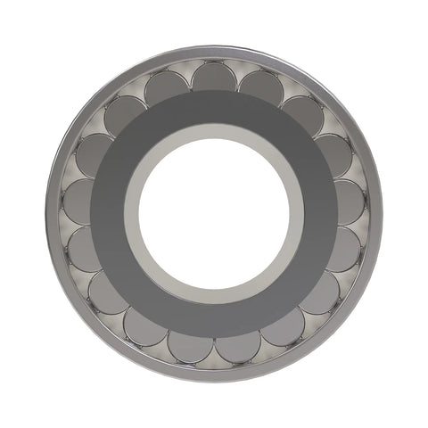 AL117653 Cilindrisch rollager
