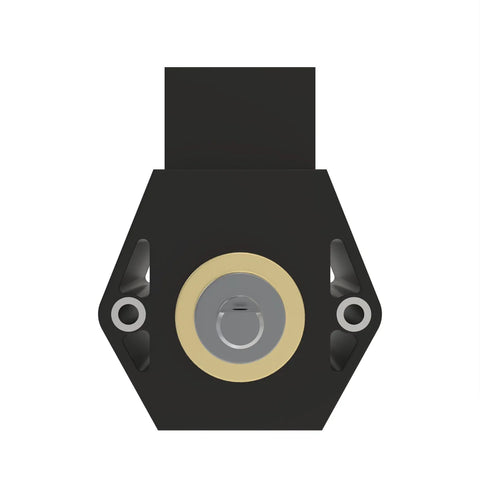AL117898 Potentiometer