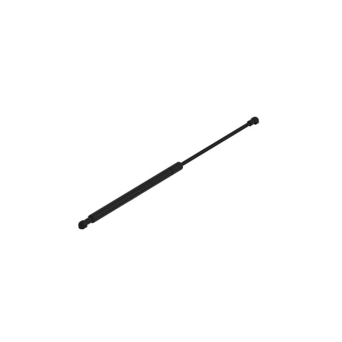 AL160699 Gasveer