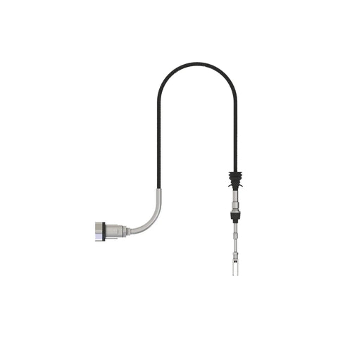 AL172937 Kabel