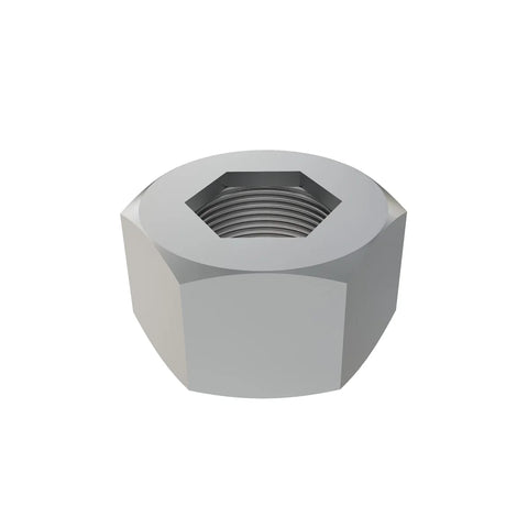 AL174183 Borgmoer