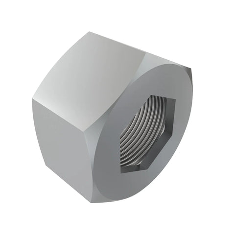 AL174183 Borgmoer