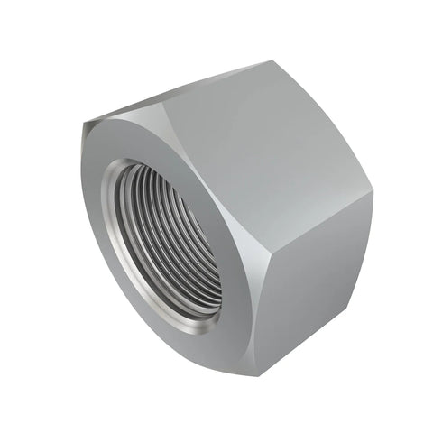 AL174183 Borgmoer