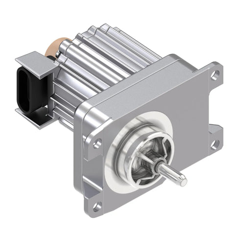 ELECTRIC MOTOR