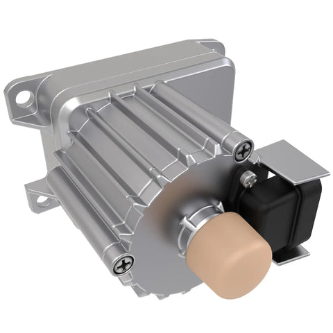 ELECTRIC MOTOR