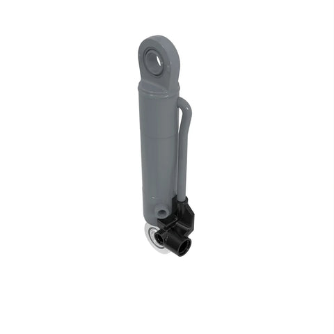 AL205034 Hydrauliekcilinder