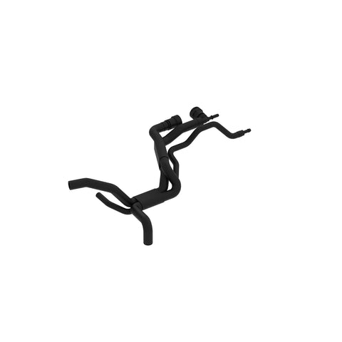 AL215167 Slang