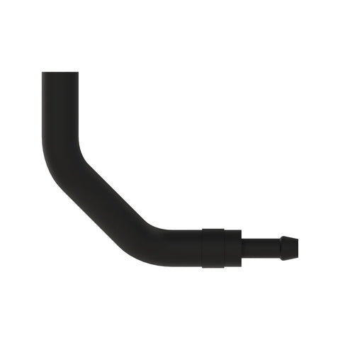 AL215971 Slang