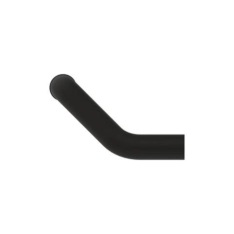 AL215971 Slang