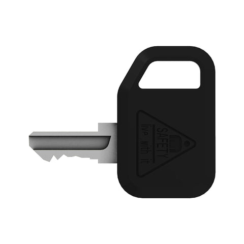 AM131841 Sleutel