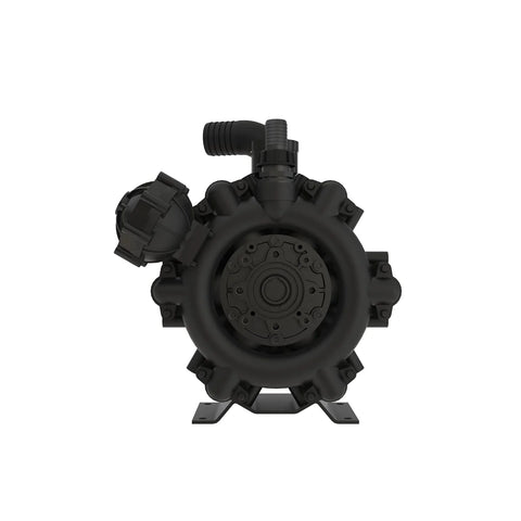 AN403618 Pomp